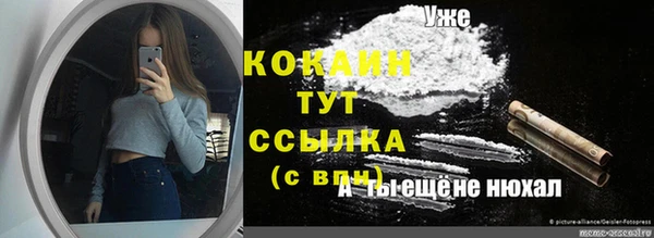 твердый Михайловск