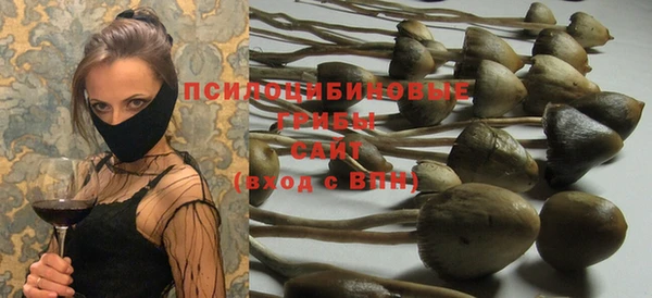 ECSTASY Абаза